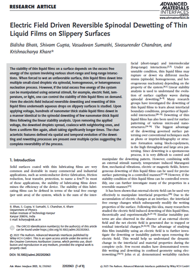 Publication 4 Screenshot