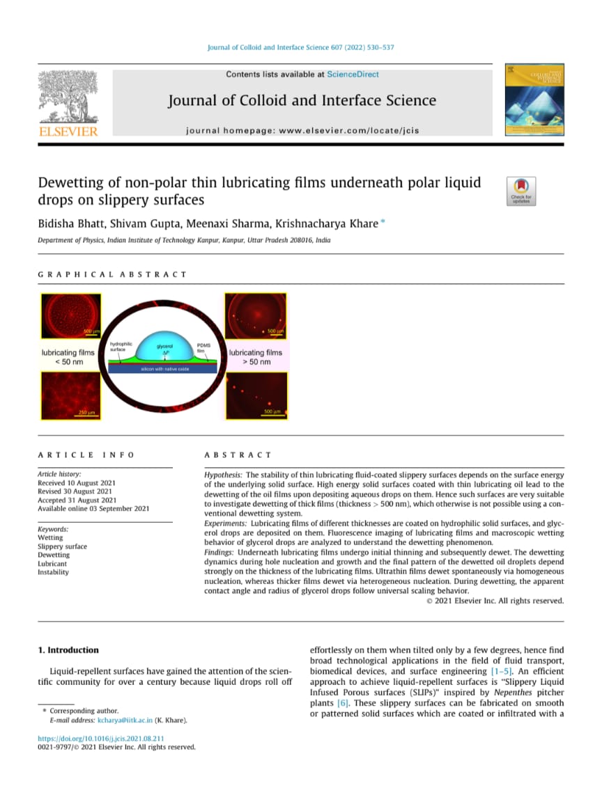 Publication 5 Screenshot